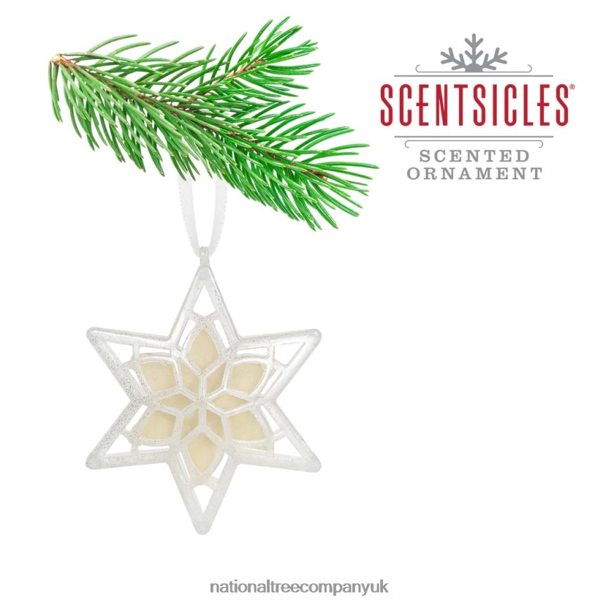 decoration | National Tree Company Scentsicles Scented Star Ornament White Winter Fir 2-Pack F2L4F543